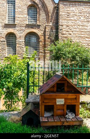 Animaux de compagnie maison en bois à Fatih, Istanbul. Maison pour les animaux installée près de l'église historique avec note sur l'alimentation des animaux de compagnie. Turquie Banque D'Images