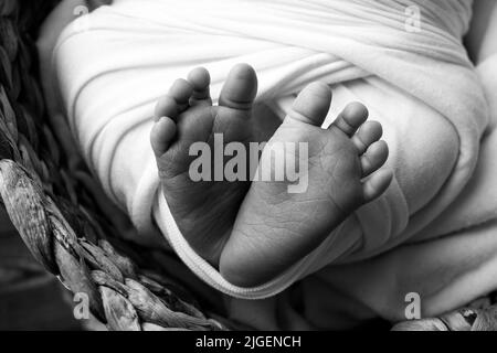 Pieds doux d'un nouveau-né dans une poche. Gros plan des orteils, des talons et des pieds de bébé. Photographie en noir et blanc en studio Banque D'Images