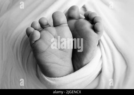 Pieds doux d'un nouveau-né dans une poche. Gros plan des orteils, des talons et des pieds de bébé. Photographie en noir et blanc en studio Banque D'Images