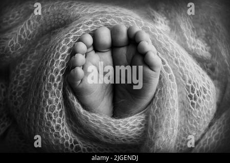 Pieds doux d'un nouveau-né dans une poche. Gros plan des orteils, des talons et des pieds de bébé. Photographie en noir et blanc en studio Banque D'Images