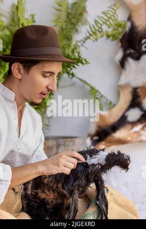 Chirche, Ténérife, 10 juillet 2022. Goatherd se raser les cheveux d'une peau de chèvre pour révéler le cuir en dessous. Les villageois célèbrent la Día de tradiciones, jour des traditions dans le petit village de montagne où ils rendaient des scènes du style de vie rural vécu par leurs ancêtres en 1940s Banque D'Images