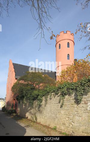 Château de Crass à Eltville, Rheingau, Taunus, Hesse, Allemagne Banque D'Images