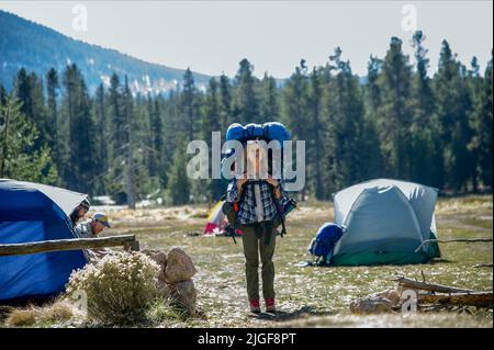 REESE WITHERSPOON, sauvage, 2014 Banque D'Images