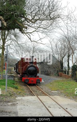 'Talyllyn' à Brynglas. Banque D'Images