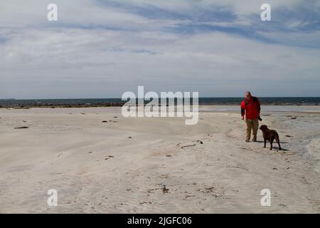 Chien impatient de jouer avec un homme d'âge moyen dans un manteau rouge sur Gearraidh na Monadh Beach, Sud Uist Banque D'Images