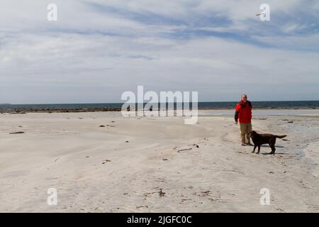 Chien impatient de jouer avec un homme d'âge moyen dans un manteau rouge sur Gearraidh na Monadh Beach, Sud Uist Banque D'Images