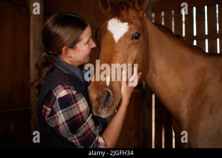 Les chevaux font un paysage magnifique. Une jeune femme petant un cheval dans une grange. Banque D'Images