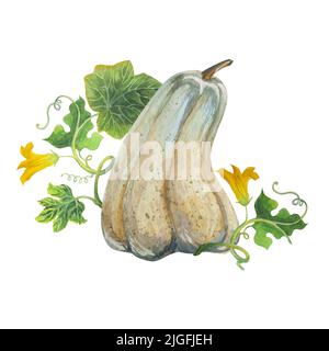 Belle composition avec des citrouilles, des laines et des fleurs. Banque D'Images