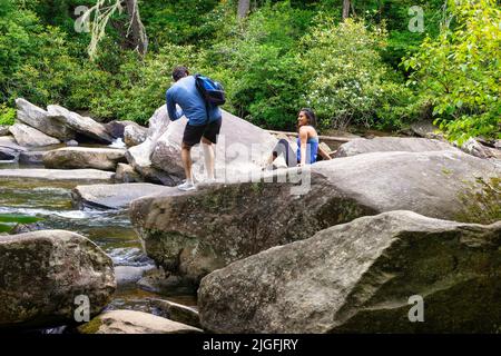 Brevard, Caroline du Nord, États-Unis - 25 juin 2022 : de gros rochers s'éparpillés le long et dans la petite rivière dans la forêt de Dupont, en Caroline du Nord. Banque D'Images