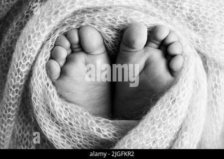 Pieds doux d'un nouveau-né dans une poche. Gros plan des orteils, des talons et des pieds de bébé. Photographie en noir et blanc en studio Banque D'Images