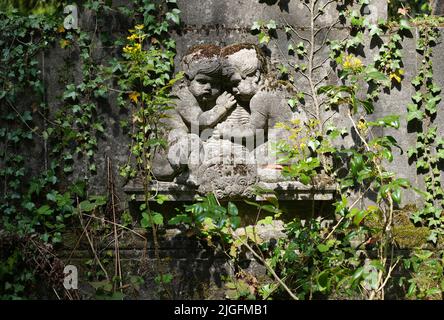 Stahnsdorf, Allemagne. 02nd mai 2022. Une tombe historique entourée de lierre dans le sud-ouest du Synode de Berlin. Le cimetière situé au sud-ouest de Berlin est le deuxième plus grand cimetière d'Allemagne, couvrant plus de 200 hectares. En raison de son caractère boisé et de ses nombreux sites historiques de sépulture, le chantier de Churcheryard du Sud-Ouest est une destination touristique populaire. Pour la préservation du site culturel et historique, une association de soutien a été créée en 2000. Crédit : Soeren Stache/dpa/Alay Live News Banque D'Images