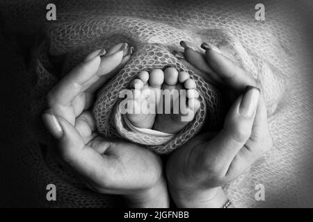 Les paumes du père, la mère tient le pied du nouveau-né. Pieds de bébé sur les paumes des parents. Banque D'Images