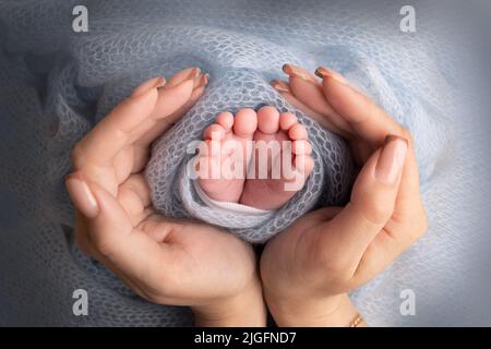 Les paumes du père, la mère tient le pied du nouveau-né. Pieds de bébé sur les paumes des parents. Banque D'Images