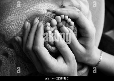 Les paumes du père, la mère tient le pied du nouveau-né. Pieds de bébé sur les paumes des parents. Banque D'Images