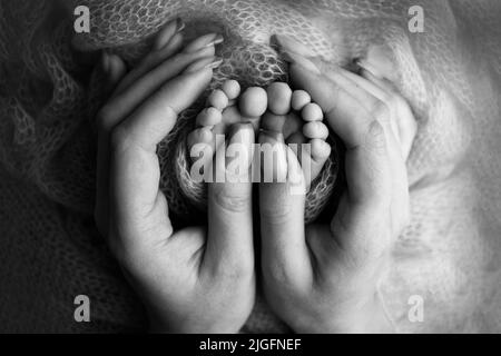 Les paumes du père, la mère tient le pied du nouveau-né. Pieds de bébé sur les paumes des parents. Banque D'Images