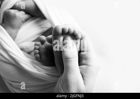 Les paumes du père, la mère tient le pied du nouveau-né. Pieds de bébé sur les paumes des parents. Banque D'Images