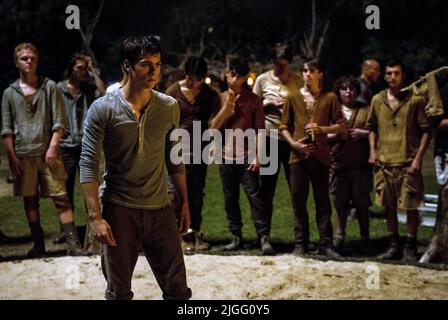 DYLAN O'BRIEN, THE MAZE RUNNER, 2014 Banque D'Images