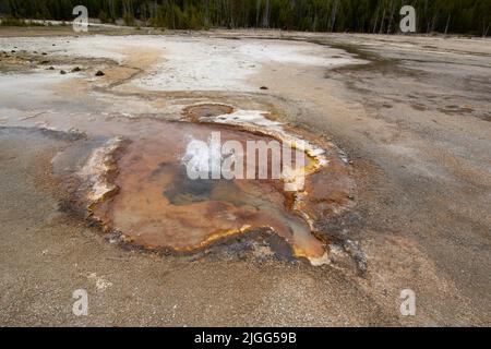 Cliff Geyser au bassin de sable noir dans le parc national de Yellowstone, Wyoming, États-Unis. Banque D'Images