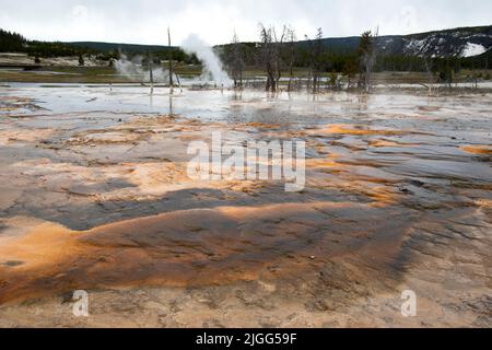 Spyser au bassin de sable noir dans le parc national de Yellowston, Wyoming, États-Unis. Banque D'Images