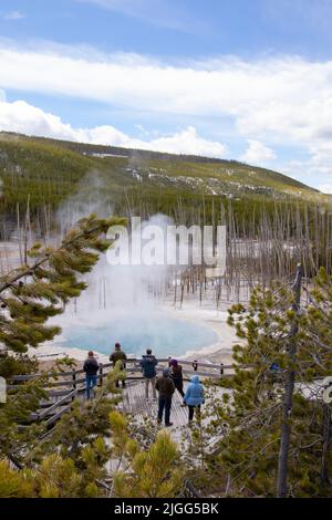 Les touristes voient Emerald Spring dans la baie arrière du bassin de Norris Geyser à Yellowstone NP, WY, États-Unis. Banque D'Images