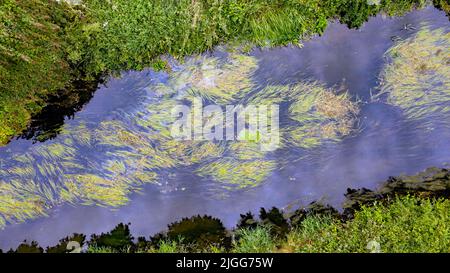 Photographie aérienne en gros plan sur une section de la rivière Little Stour, à Plucks Gutter, dans le Kent Banque D'Images