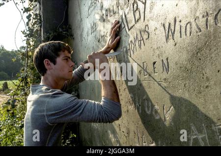 DYLAN O'BRIEN, THE MAZE RUNNER, 2014 Banque D'Images