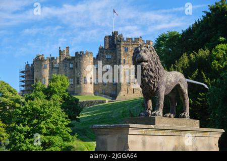 Pont du Lion et château d'Alnwick Banque D'Images