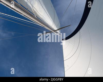 Deux voiles en tissu blanc se sont défoulé sur un voilier dans des conditions venteuses et ont été photographiées par le dessous. Ciel bleu avec des nuages sont au-dessus des voiles. Banque D'Images