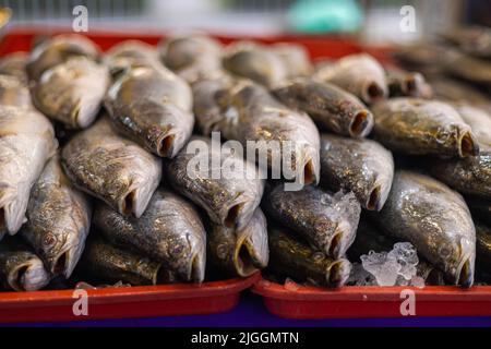 Poisson fraîchement pêché sur le comptoir d'un poissonnier à Kuala Lumpur, Malaisie. La prise du jour du matin est vendue fraîche le soir. Tre Banque D'Images