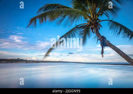 Longue exposition: Plage de Porto Seguro à l'aube avec palmiers, BAHIA Banque D'Images