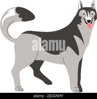 Portrait d'animal canin, de chiot ou de chien cultivé Husky Illustration de Vecteur