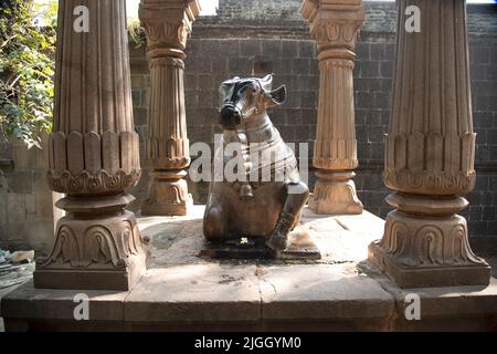 Nandi, Temple Rajeshwar Mahadev, près du fort de Wafgaon, Wafgaon, Taluka Khed, Dist. Pune Banque D'Images