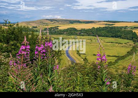 Rivière Cuckmere et vallée sur les South Downs, East Sussex, Angleterre, Royaume-Uni. Banque D'Images