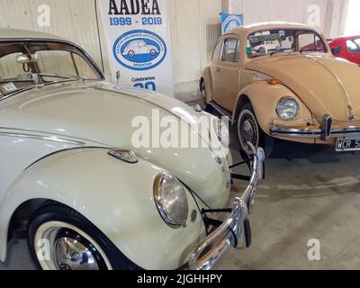 Ancienne berline Volkswagen type 1 Beetle ou Bug, refroidissement par air, moteur arrière, économie dans un entrepôt. Expo Fierro 2022 salon de voiture classique Banque D'Images