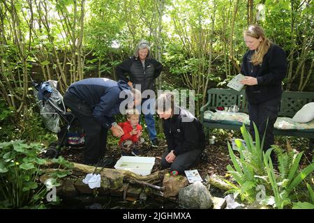 Girvan, Ayrshire, Écosse, Royaume-Uni. Bassin pour jeunes garçons en pleine nature. Banque D'Images