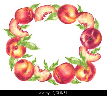 Pêches. Aquarelle illustration botanique des fruits. Cadre de pêches pour le design Banque D'Images