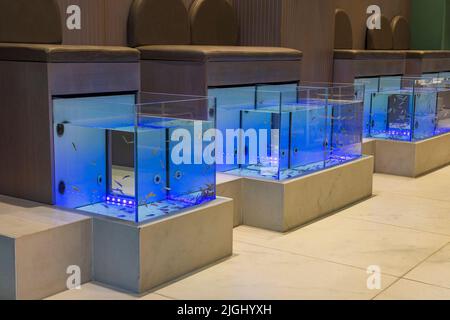 Le salon de studio Anjeli est un salon de beauté moderne et luxueux proposant des soins de pédicure ou de poissons à pied sur l''île de Skiathos, dans les Sporades, en Grèce Banque D'Images