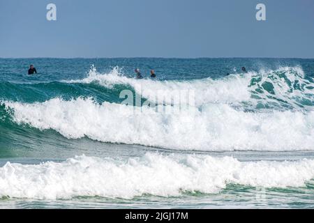 Surfeurs dans l'eau sur les vagues de la mer Méditerranée. Banque D'Images
