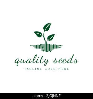 Conception supérieure de logo de vecteur d'entreprise de semences. logo de semence végétale simple Illustration de Vecteur