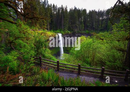 South Falls dans le parc national de Silver Falls, Oregon Banque D'Images