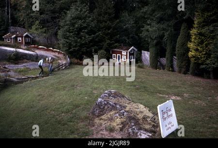 Ferme de fleurs, Eringsboda. Banque D'Images