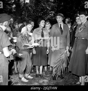 Scoutrörelse Olave Baden-Powell (1889-1977), veuve de Robert Baden-Powell, fondateur du mouvement Scout, a visité le camp de l'Association suédoise des filles scoutes à Tromtö en 1954, avec quelques scouts au camp. Banque D'Images