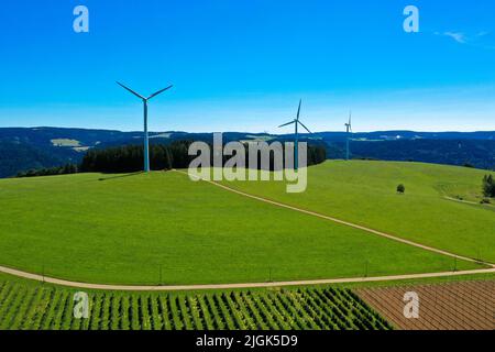 Vue aérienne de la centrale éolienne dans le pré vert vif et les sapins. Saint-Pierre, Forêt Noire, Allemagne. Concept d'énergie régénératrice. Banque D'Images