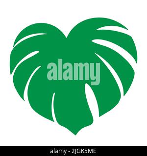 Illustration du vecteur de feuilles tropicales sur fond blanc Illustration de Vecteur