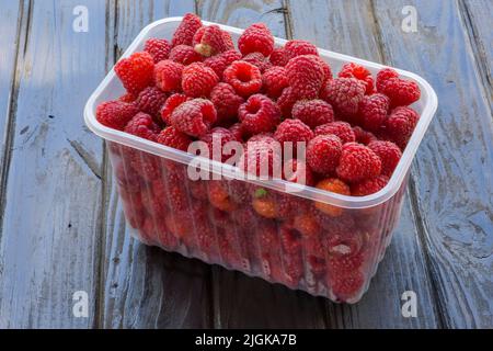 Plateaux avec framboises sur fond en bois. Banque D'Images