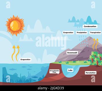 Cycle de l'eau l'eau du procédé s'évapore dans l'atmosphère se condense en pluie dans les nuages et tombe la pluie de précipitations Illustration de Vecteur
