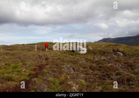 Bogland, réserve naturelle nationale du Loch Druidibeg Banque D'Images