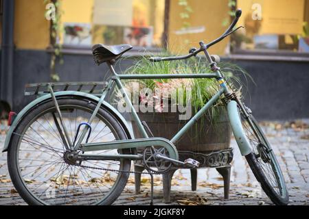 Vélo sur un parking dans une ville. Un vieux vélo vintage se tient à l'extérieur du bâtiment, appuyé contre un lit de fleurs à l'extérieur. Concept de transport écologique Banque D'Images