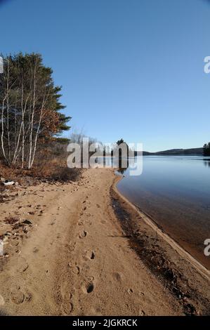 Paysage d'été le long d'une plage avec des empreintes de pied montrant sa saison d'été avec un ciel bleu. Nature pittoresque. Paysage nature. Image. Image. Portrait. Banque D'Images