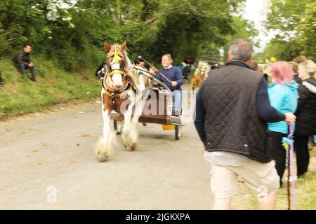 Un cheval coloré tirant une famille de voyageurs dans un piège. Appleby Horse Fair, Appleby à Westmorland, Cumbria Banque D'Images